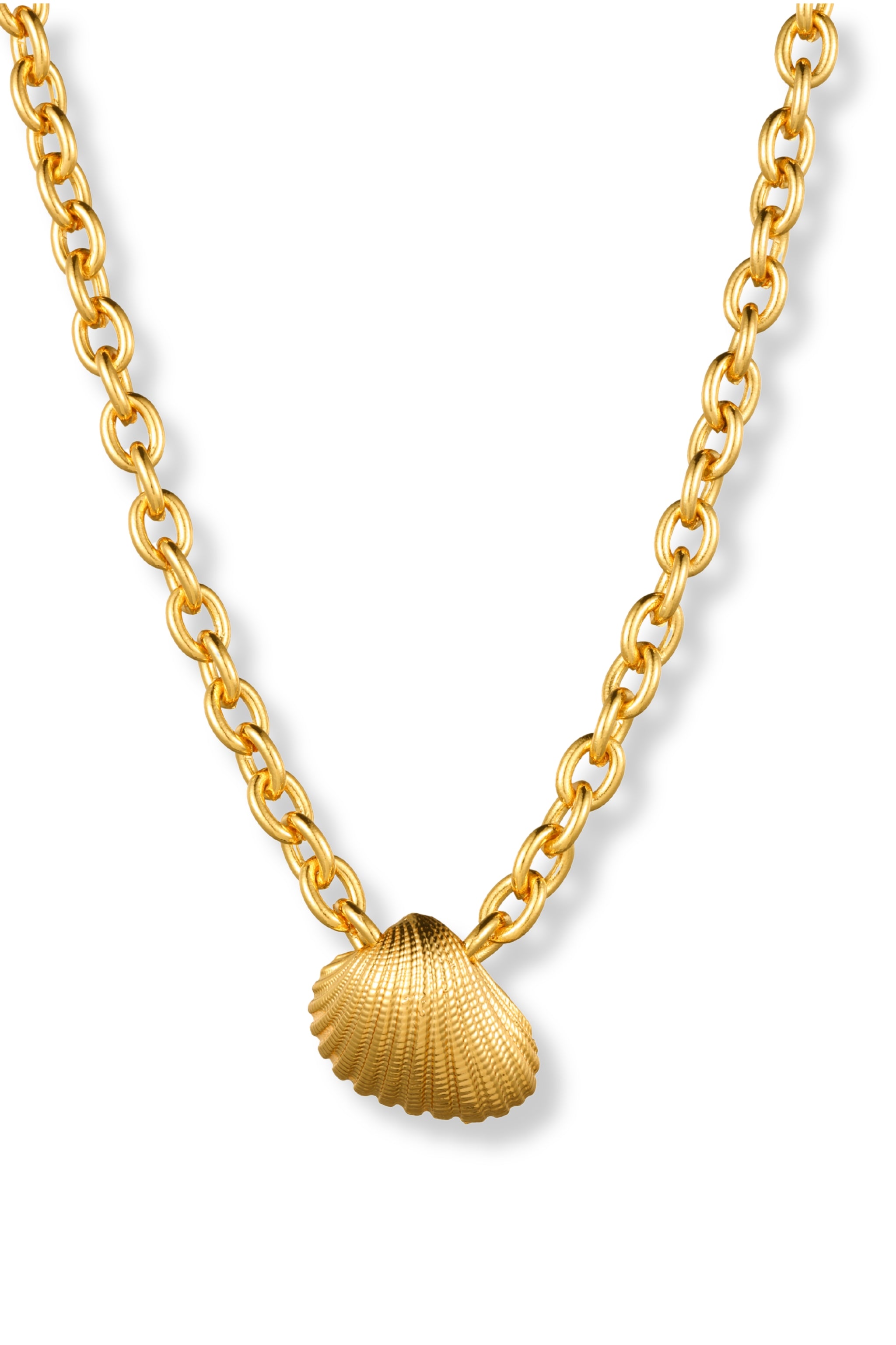 Gold chain necklace with a shell pendant on a white background