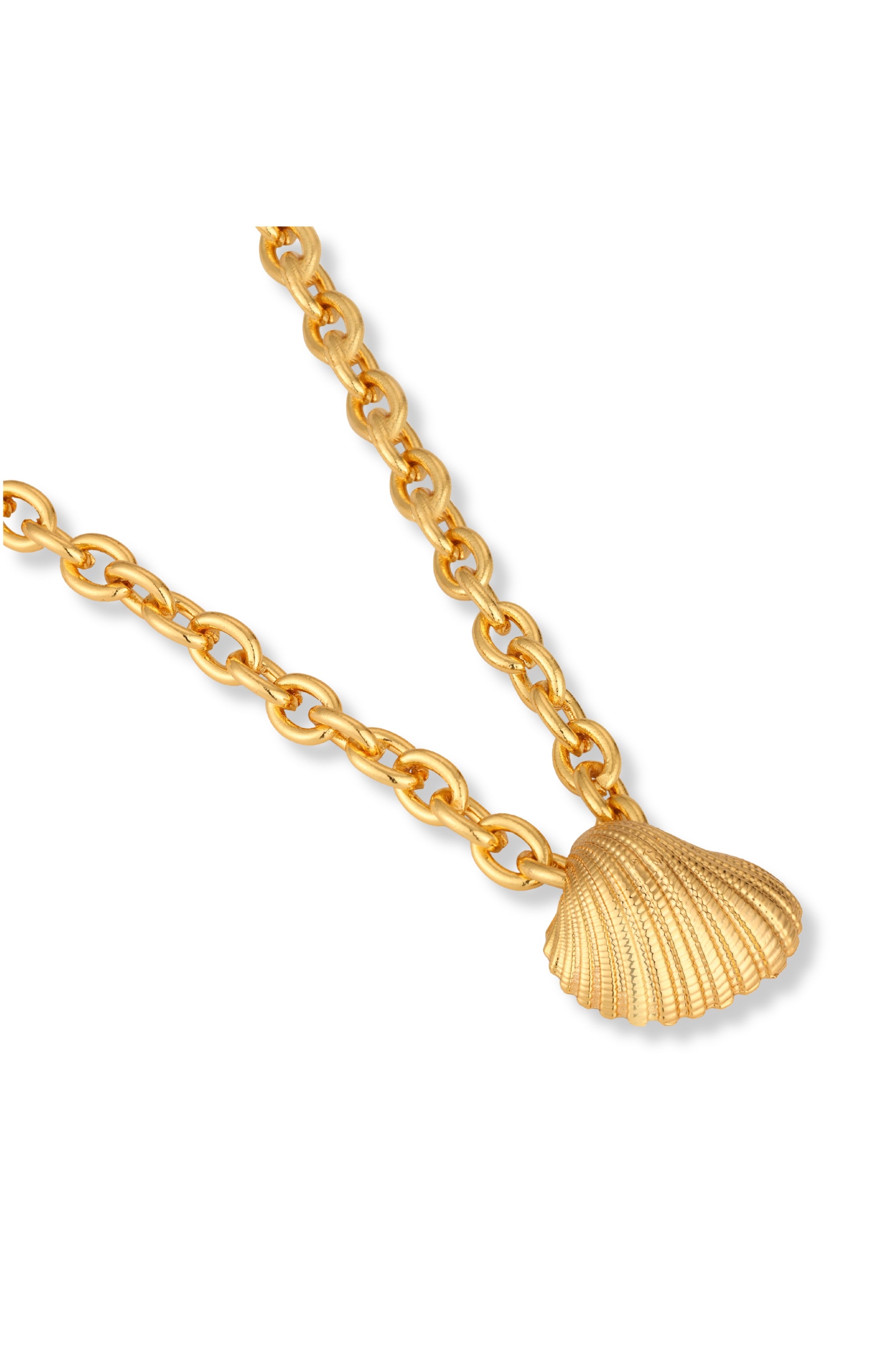 Gold chain necklace with a shell pendant on a white background from top view.