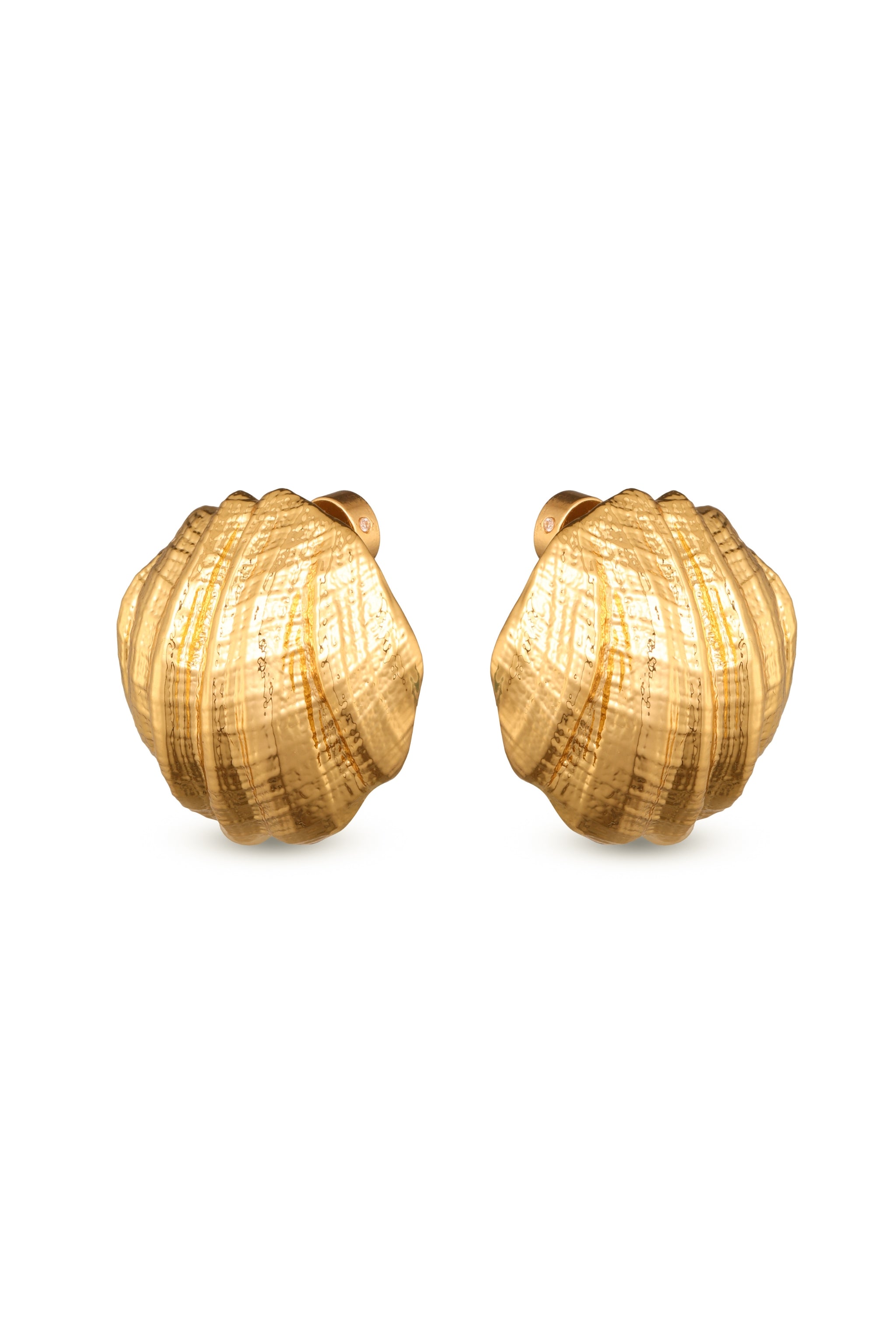 Pair of shell-shaped gold plated stud earrings on a white background