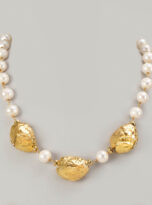 SL-NL-0825-ANP-GD-01-1